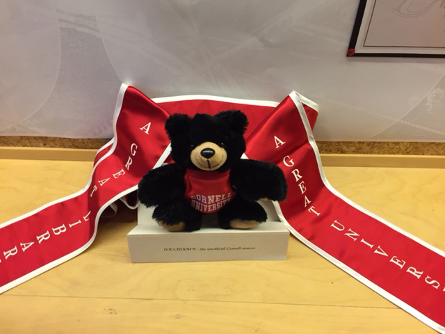 Stuffed bear with a Cornell University shirt 